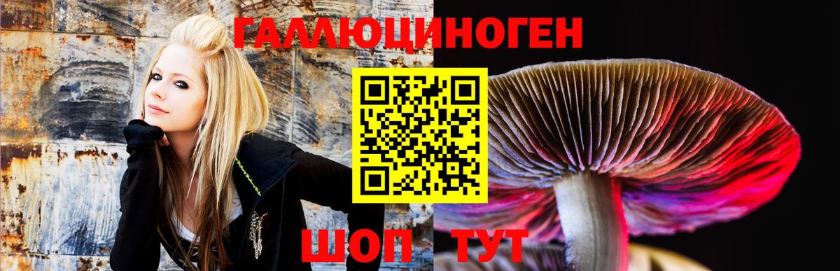 Псилоцибиновые грибы MAGIC MUSHROOMS  Псилоцибиновые грибы мухоморы  Вход с VPN  Кстово 